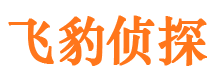 蛟河侦探